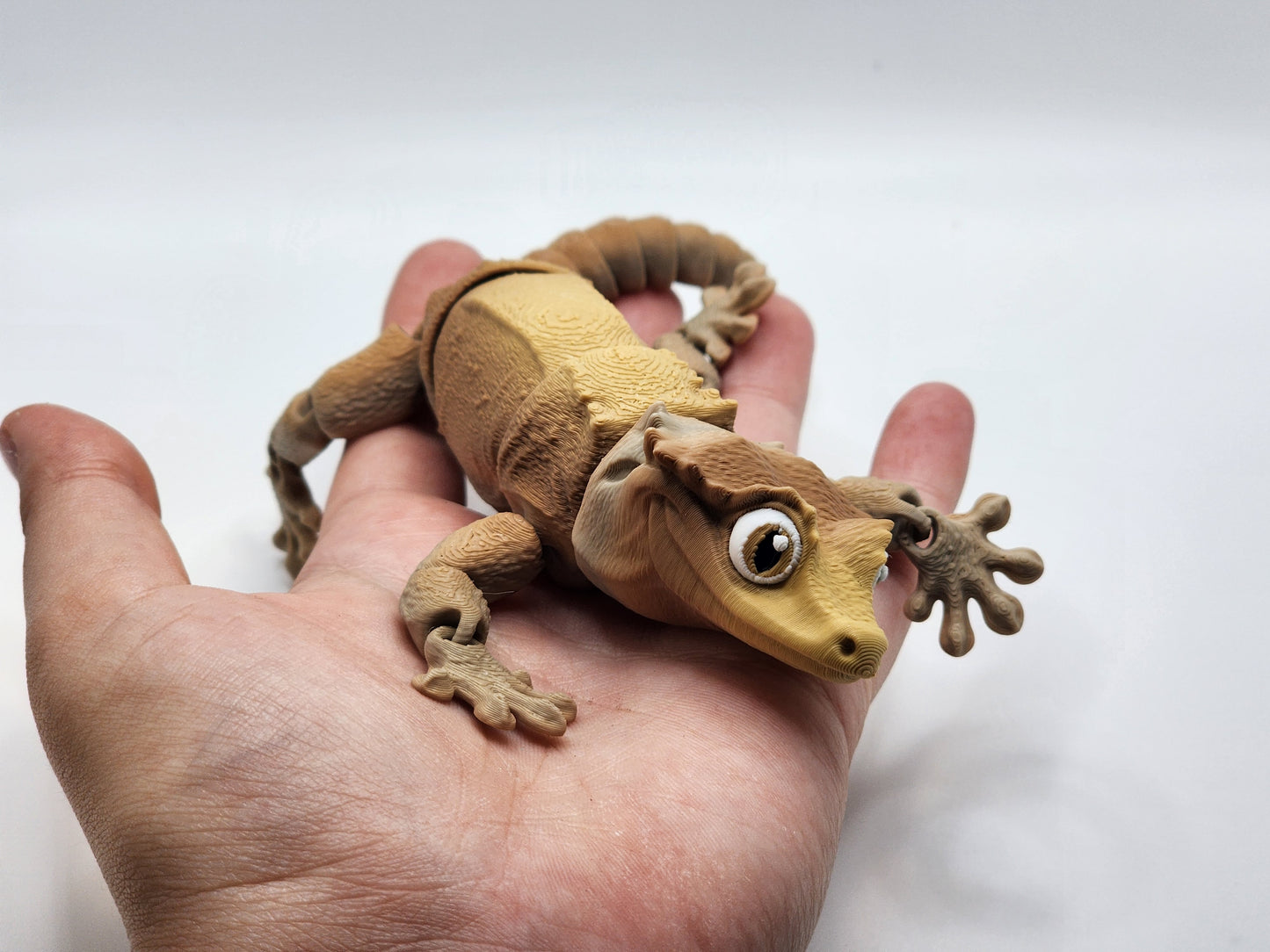 Crested Gecko