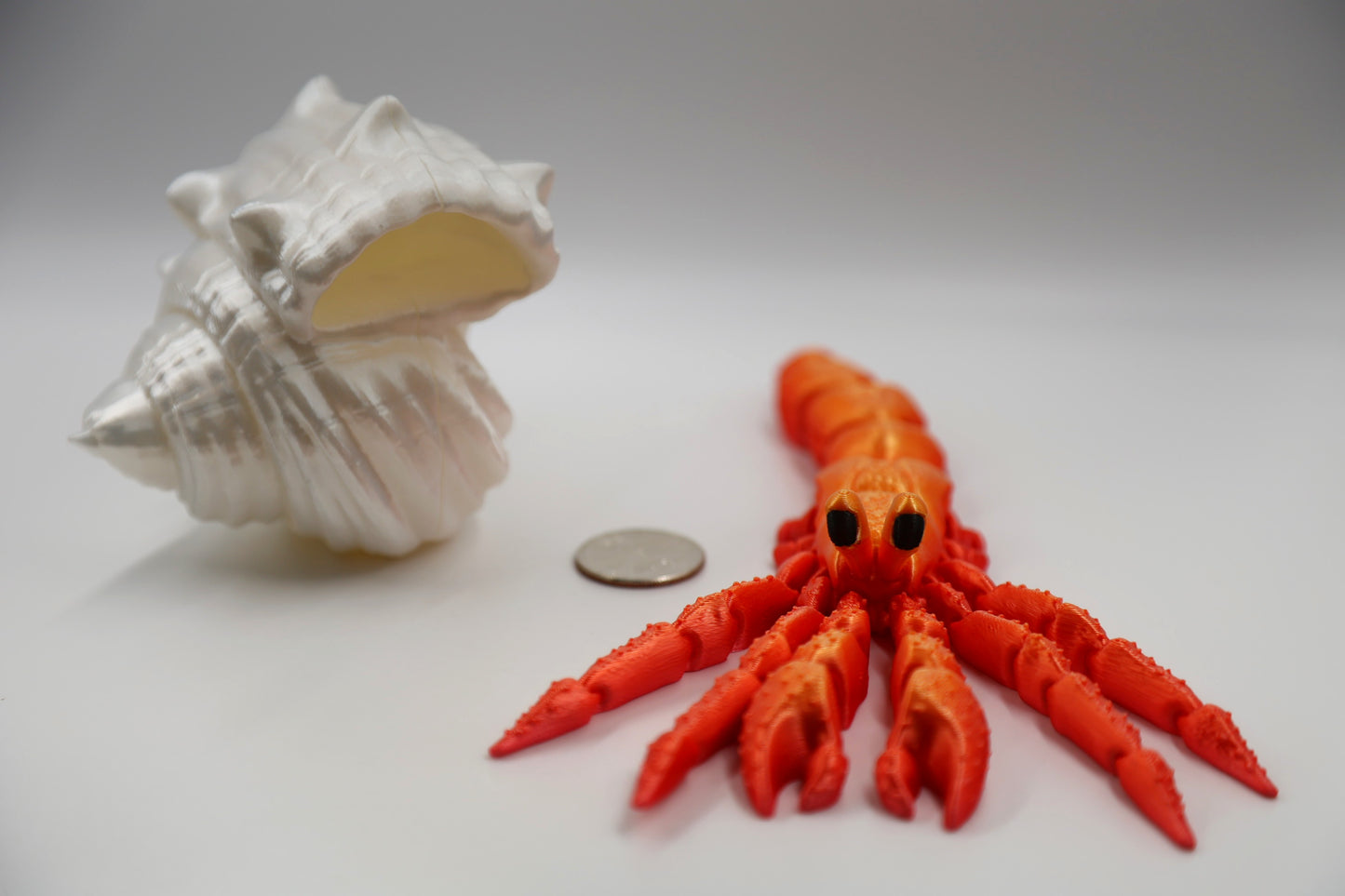 Hermit Crab
