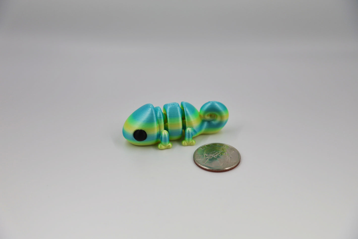 Baby Chameleon