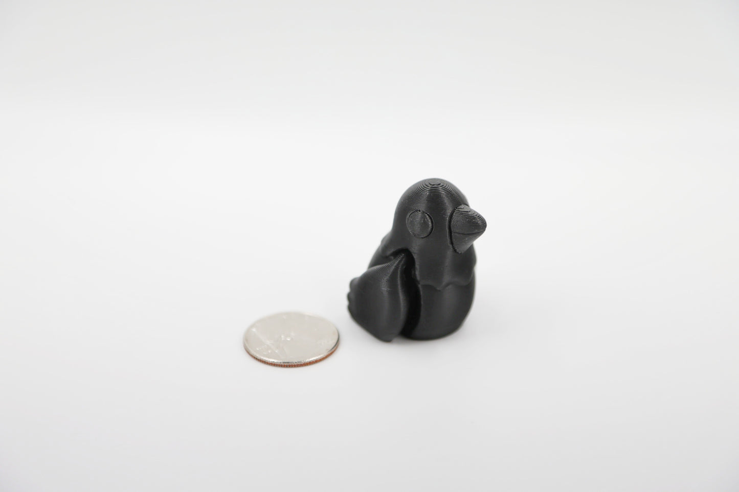 Baby Crow/Raven