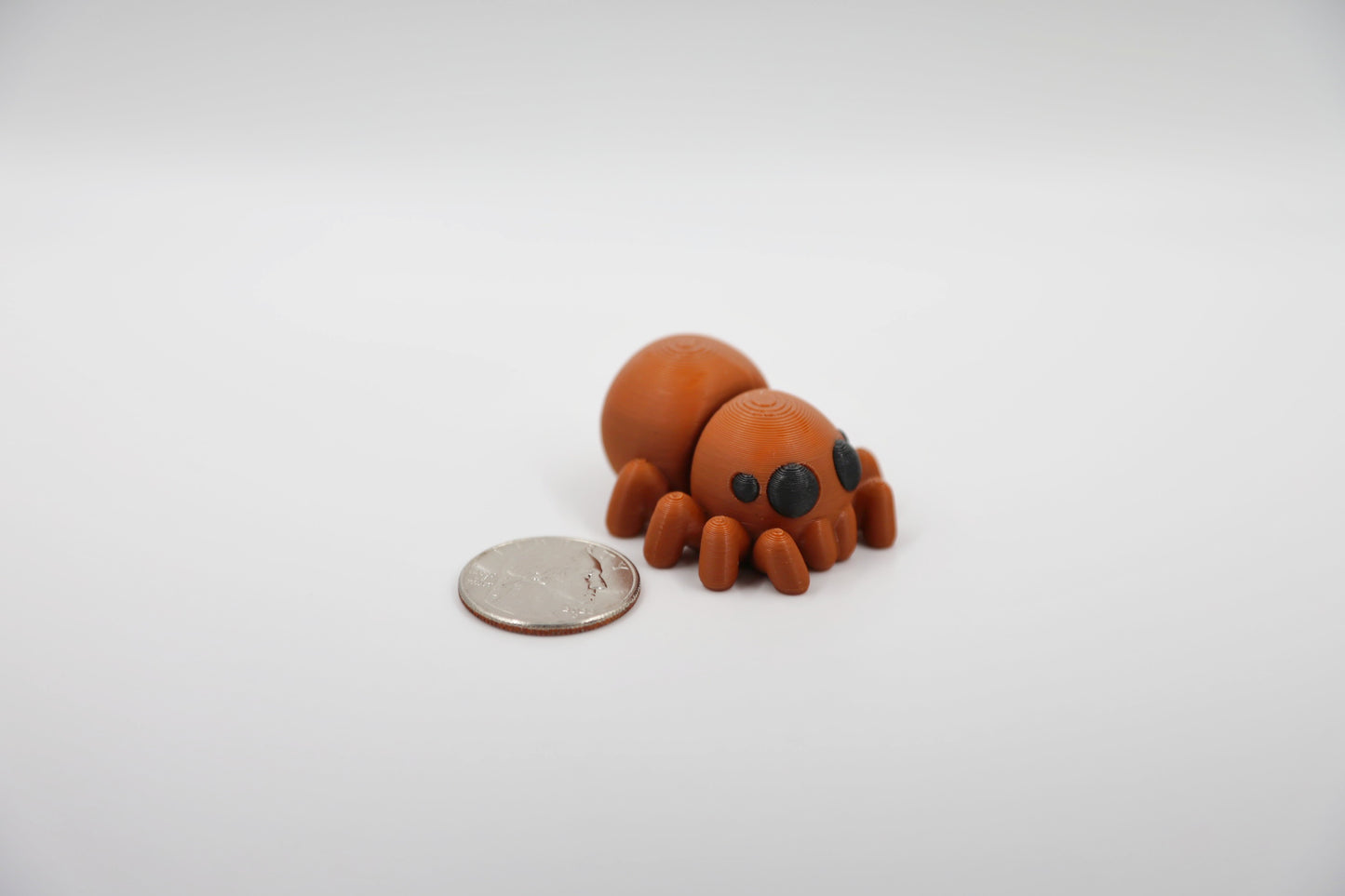 Baby Spider