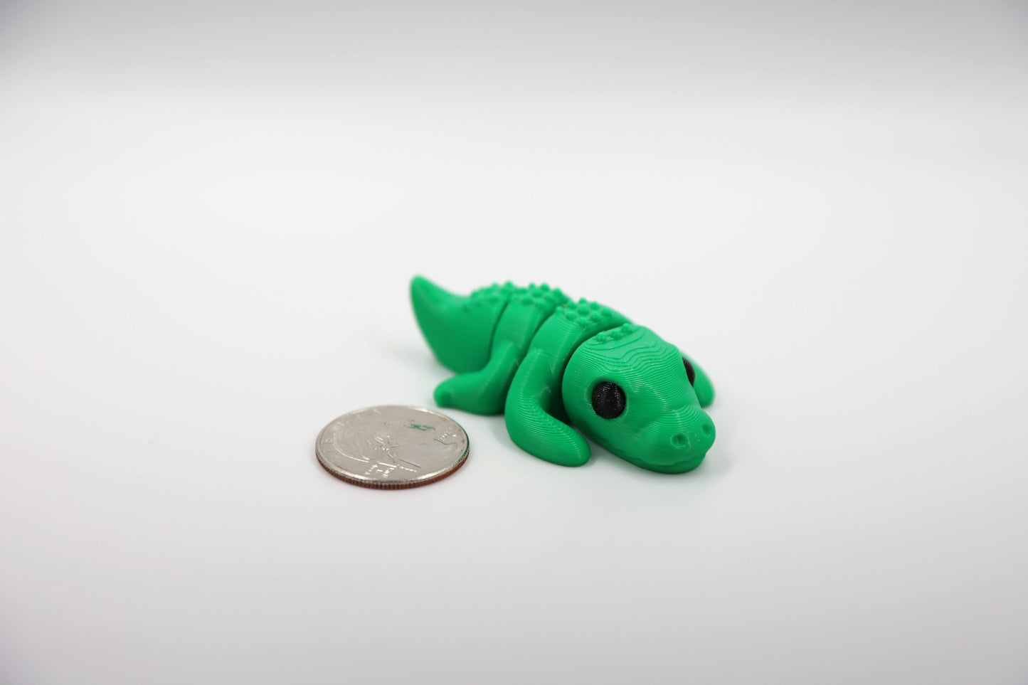 Baby Crocodile