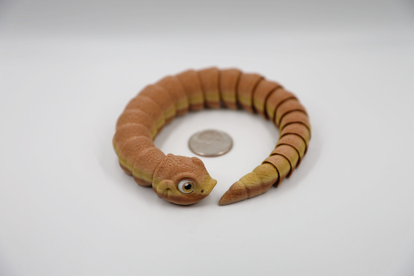 Hognose Snake
