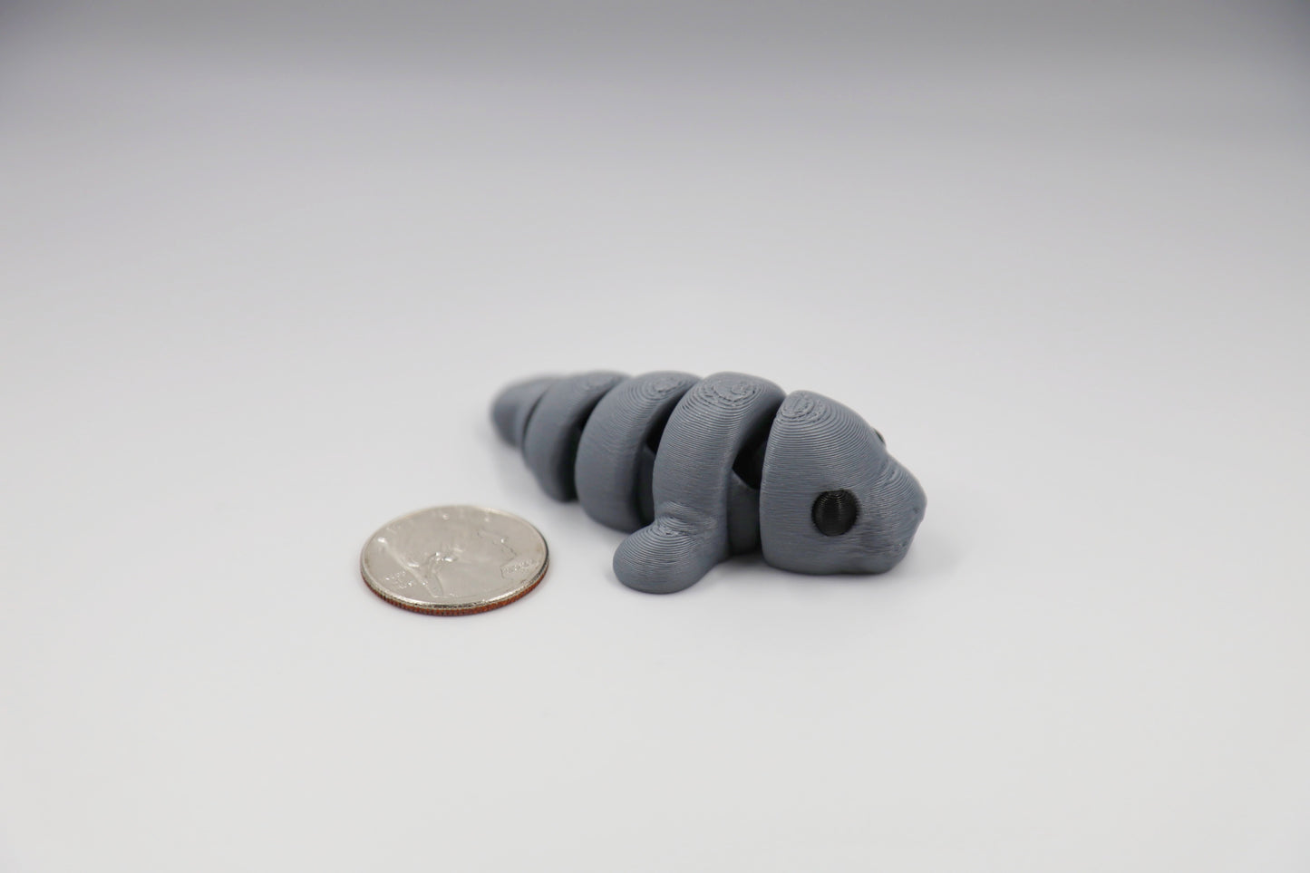 Baby Manatee