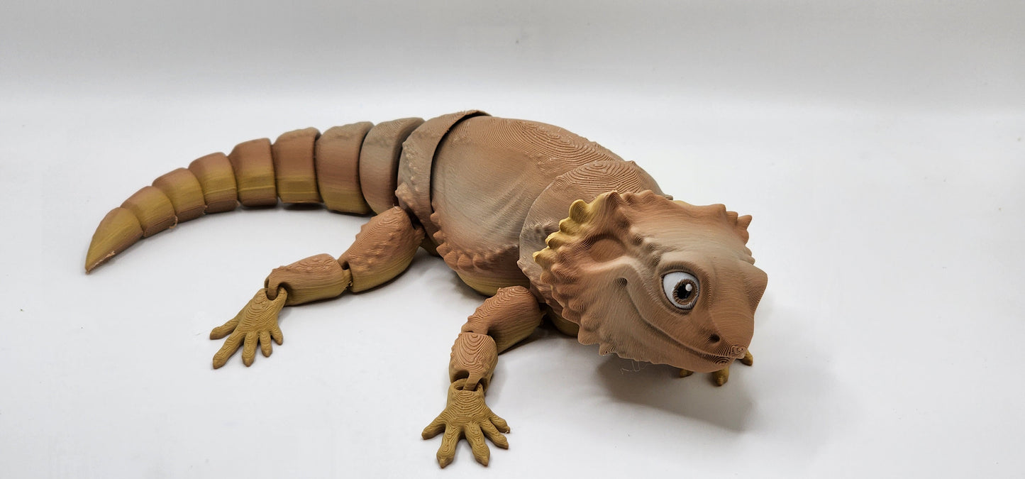 Bearded Dragon