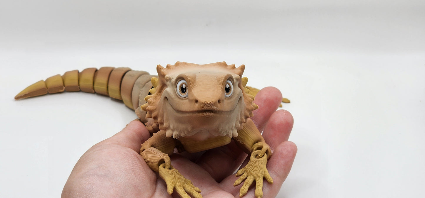 Bearded Dragon