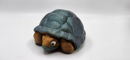 Tortoise