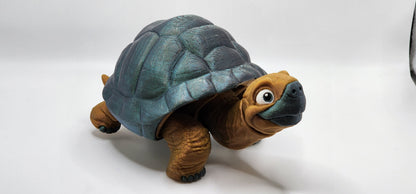 Tortoise