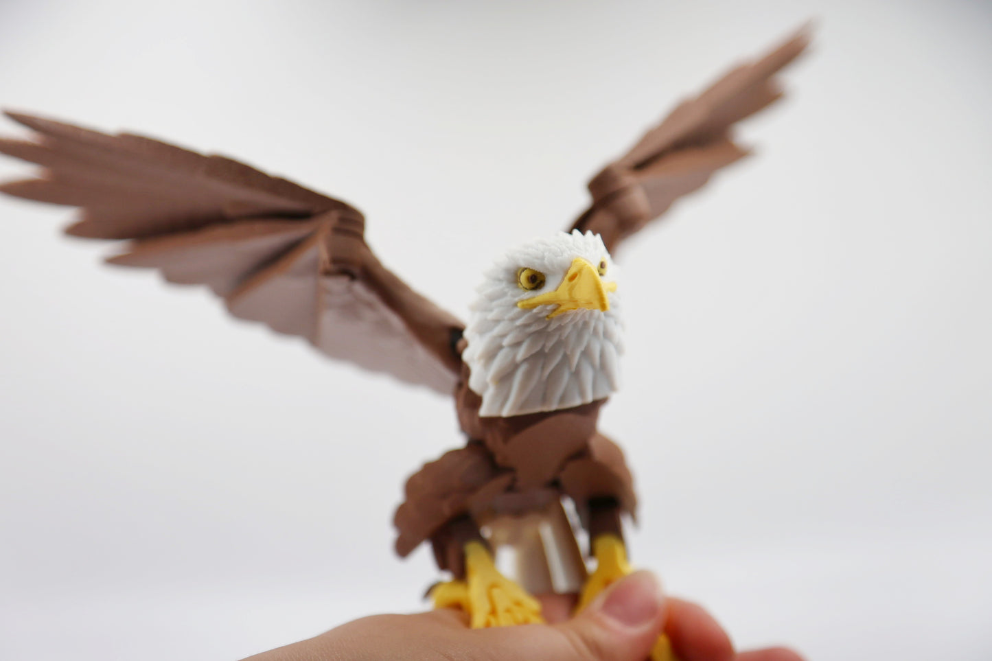 Bald Eagle