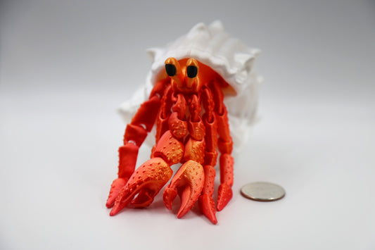 Hermit Crab
