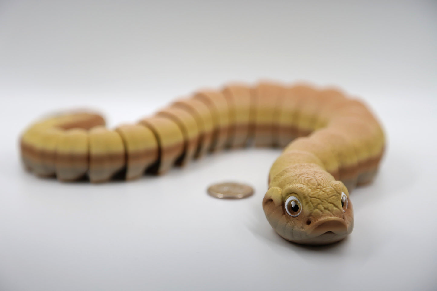 Hognose Snake