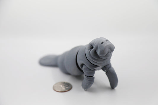 Manatee
