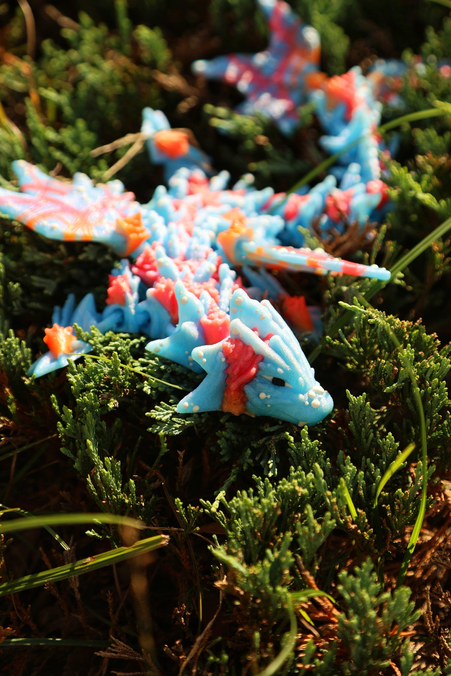 Ocean Dragon