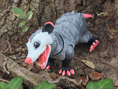 Opossum