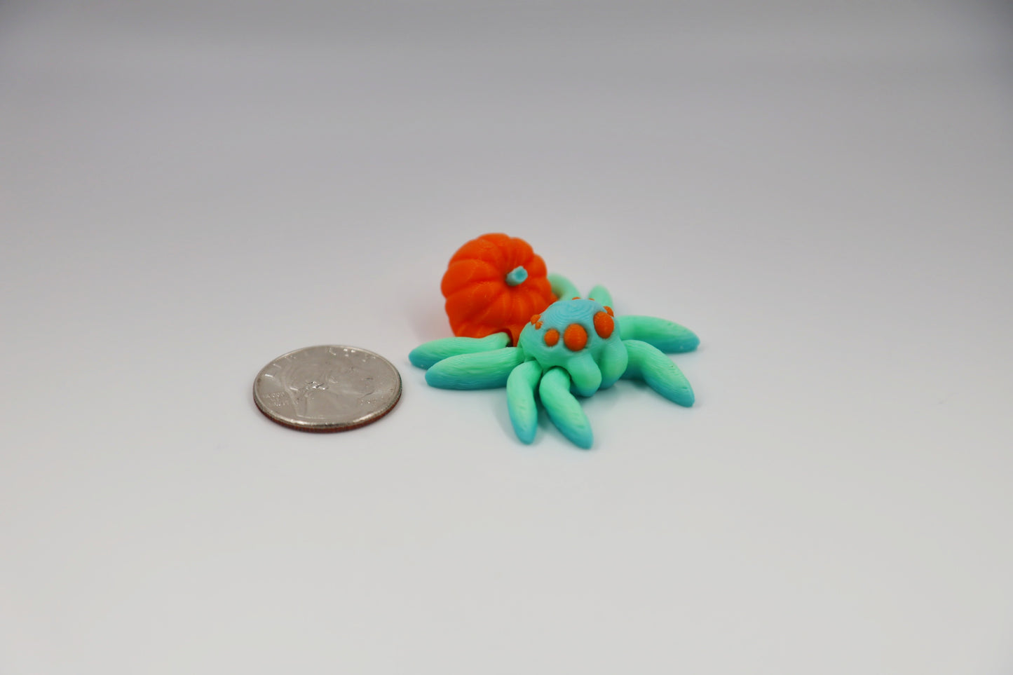 Mini Jumping Spider (All Kinds)