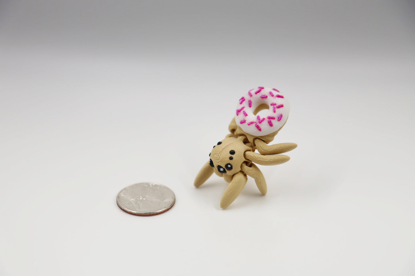 Mini Jumping Spider (All Kinds)