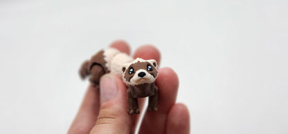 Ferret