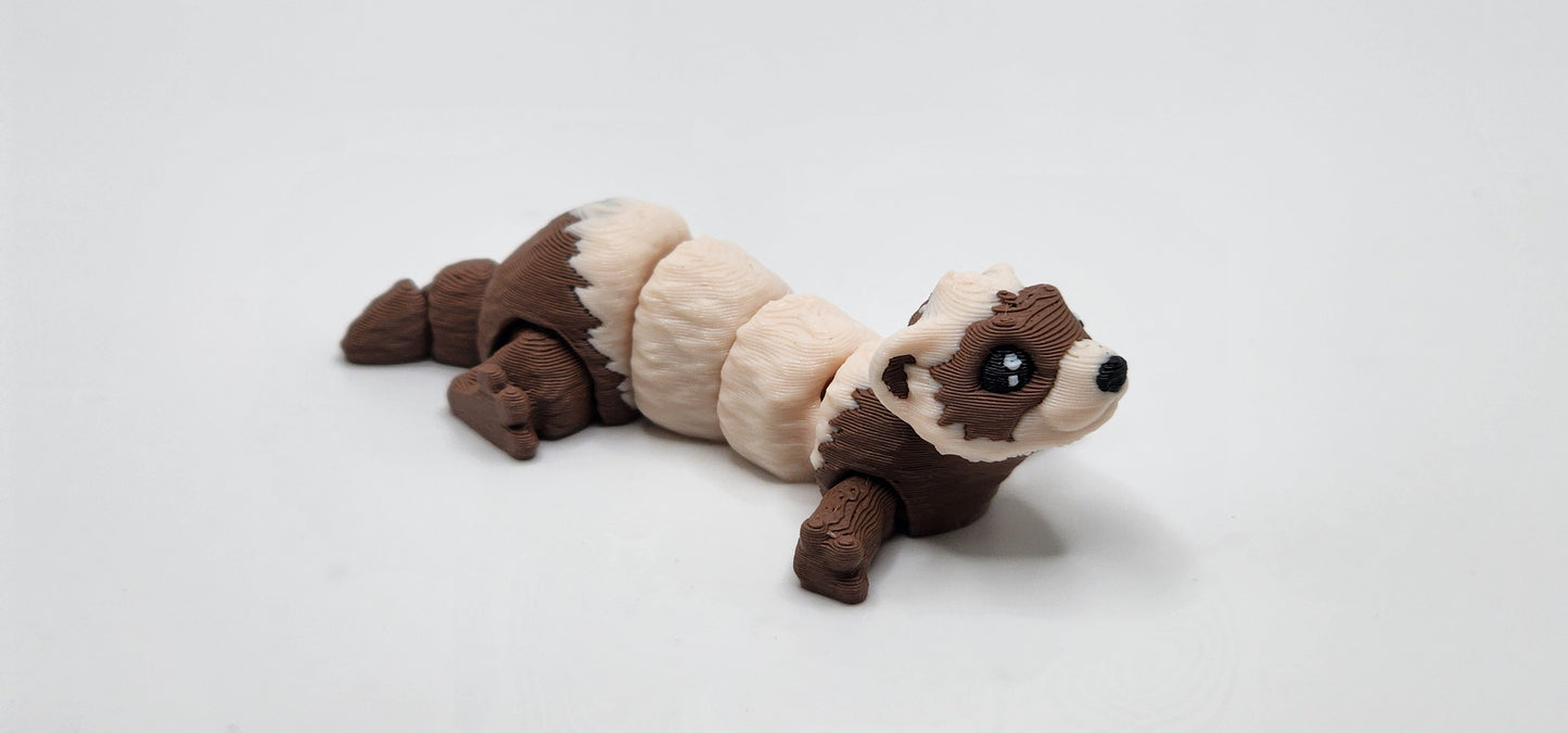 Ferret