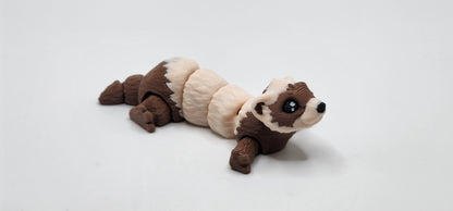 Ferret