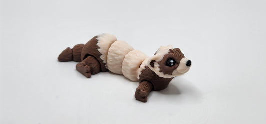 Ferret