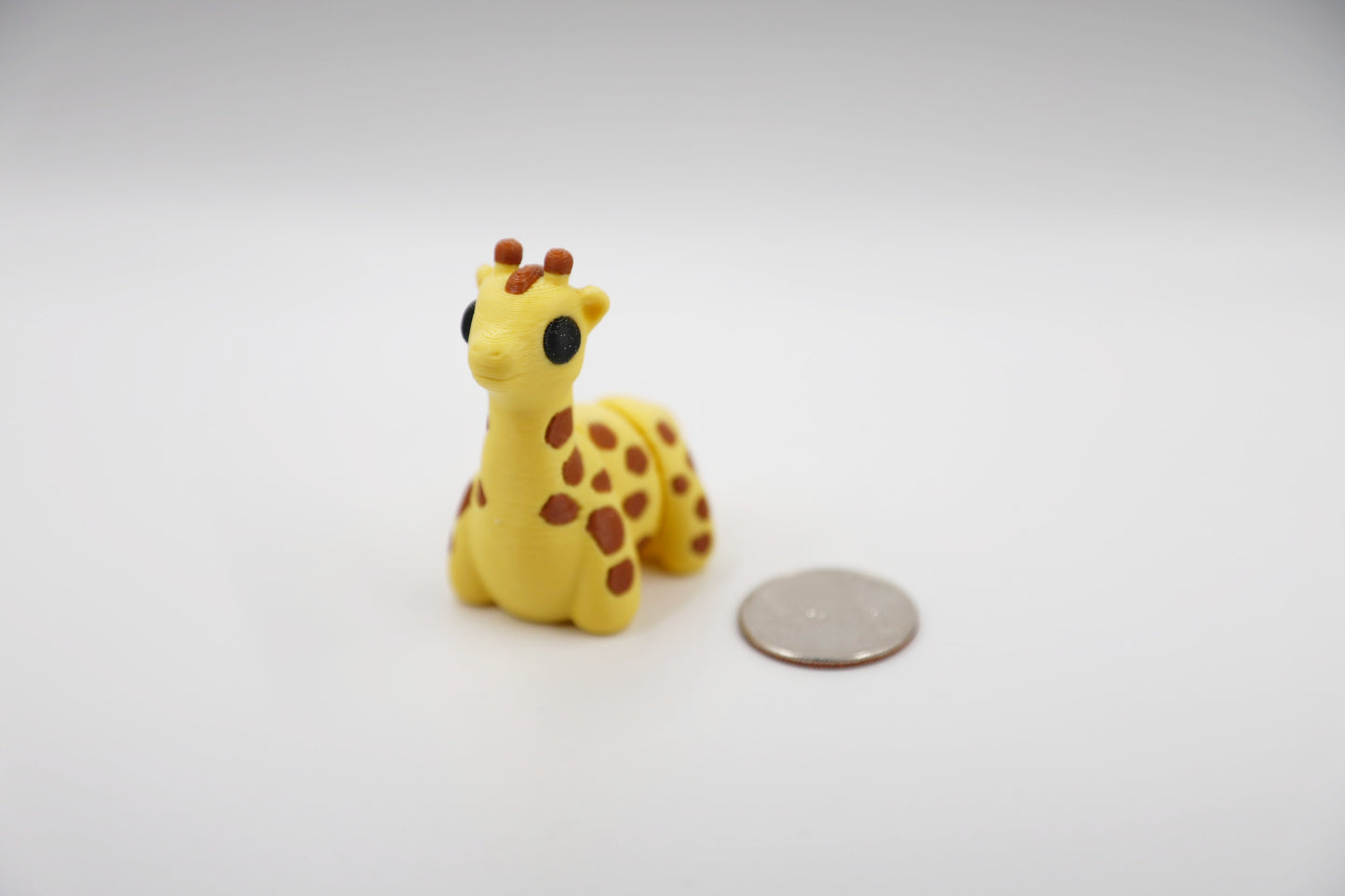 Baby Giraffe