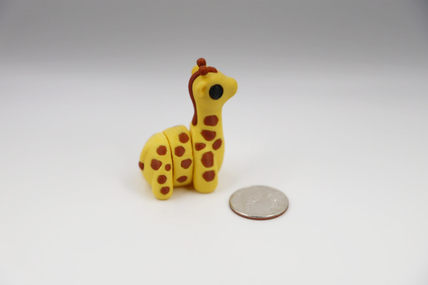 Baby Giraffe