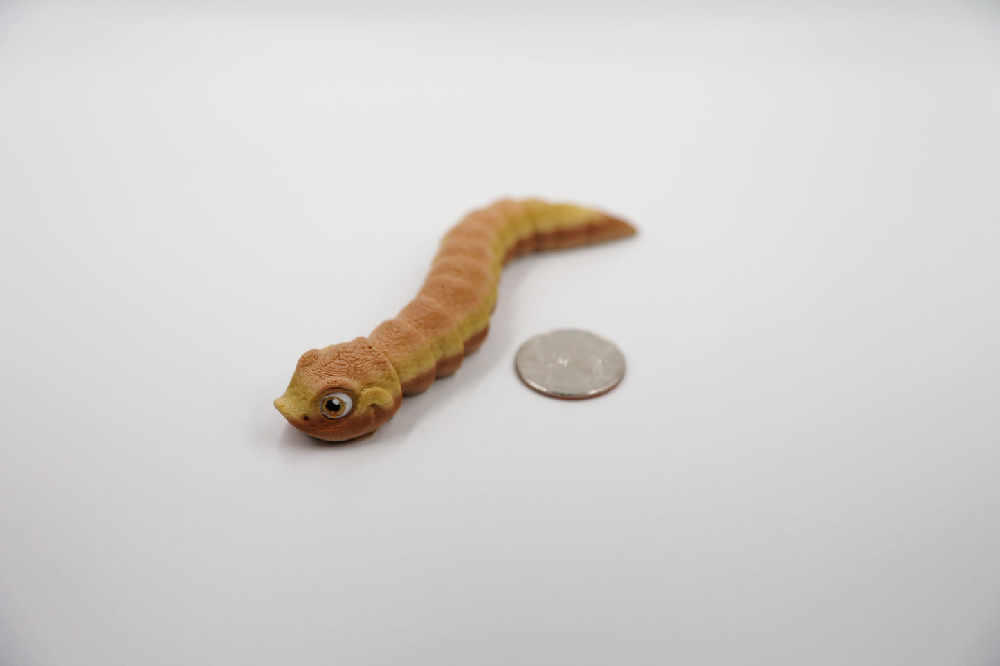 Hognose Snake