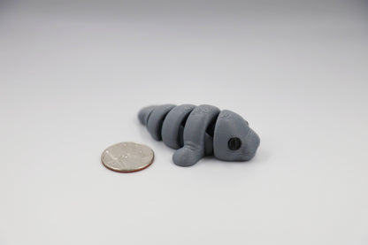 Baby Manatee