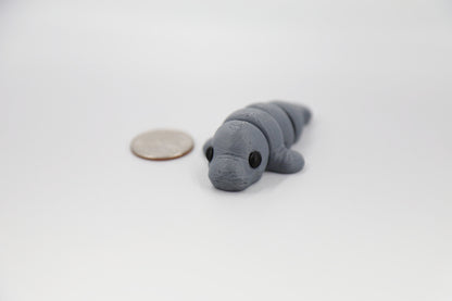 Baby Manatee