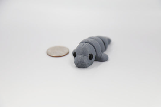 Baby Manatee