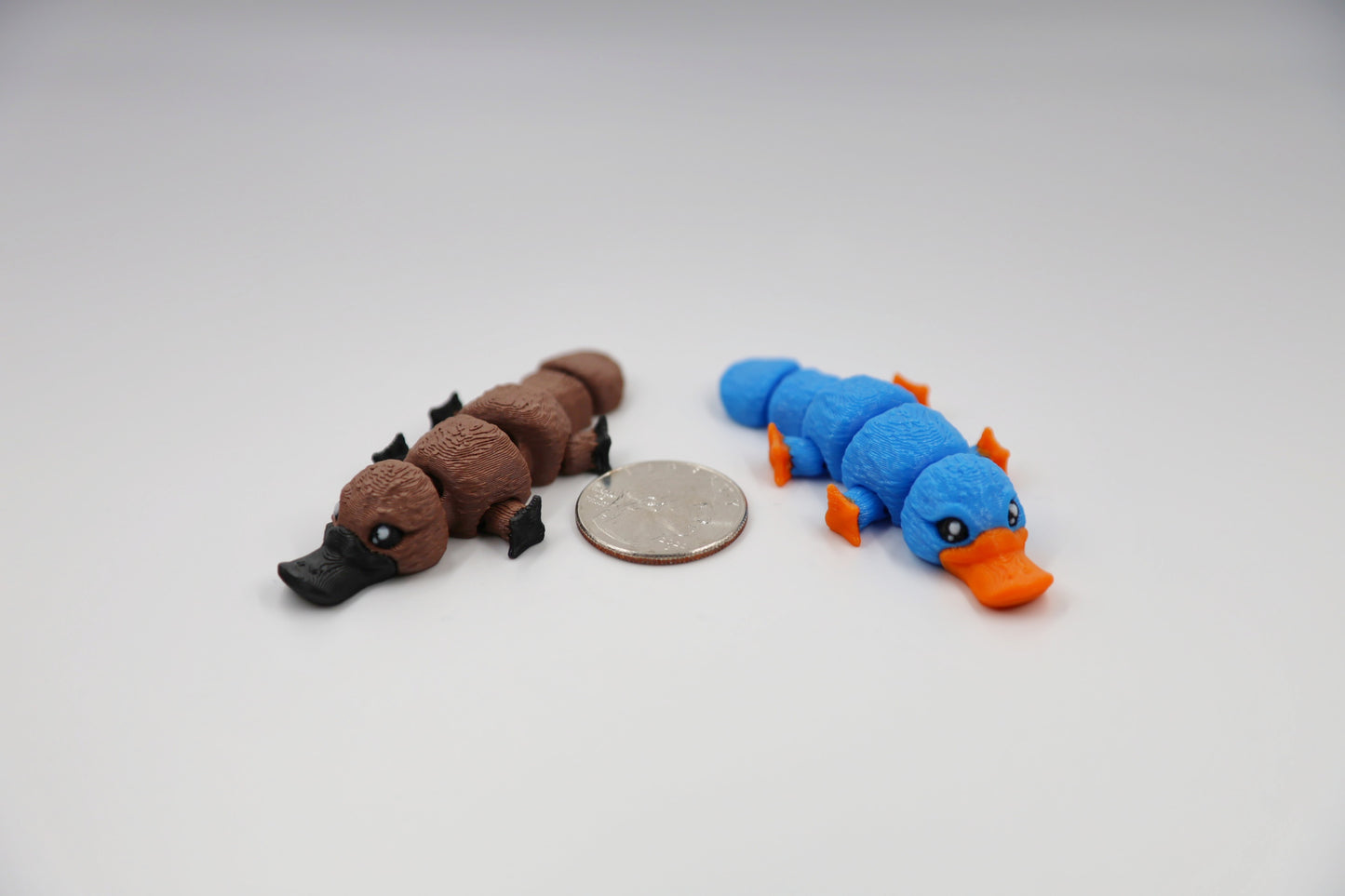 Mini Platypus