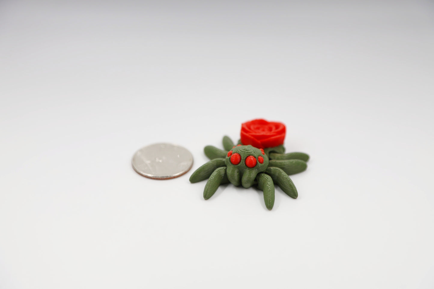 Mini Jumping Spider (All Kinds)
