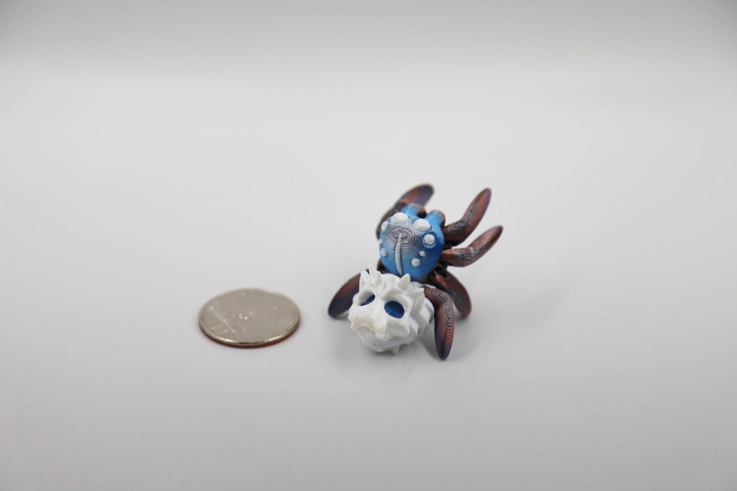 Mini Jumping Spider (All Kinds)