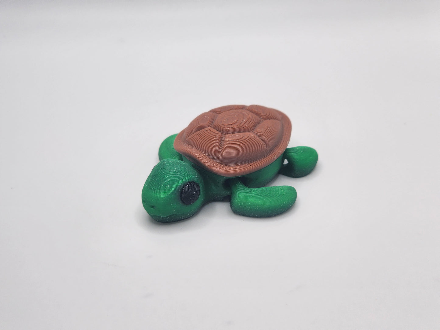 Baby Turtle