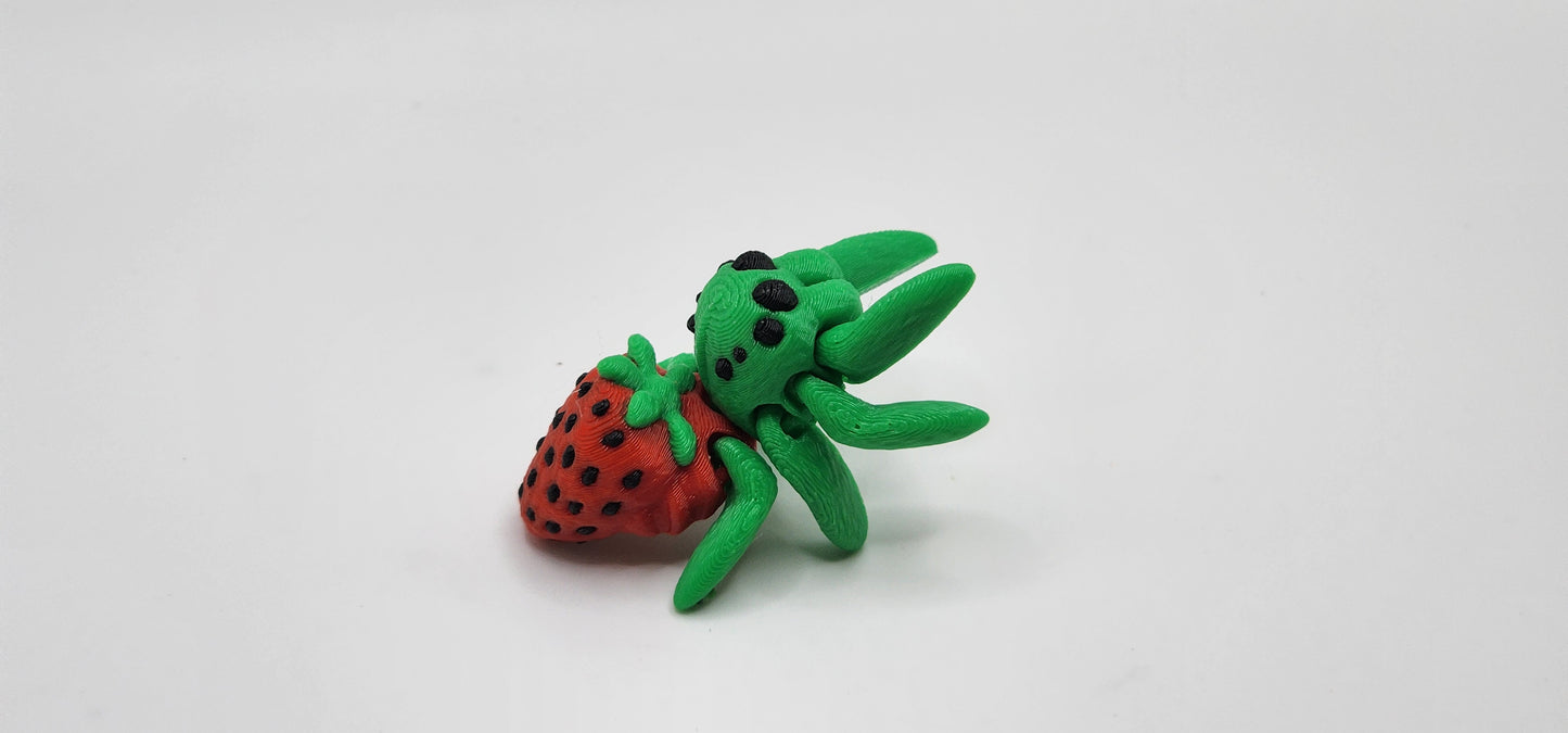 Mini Jumping Spider (All Kinds)